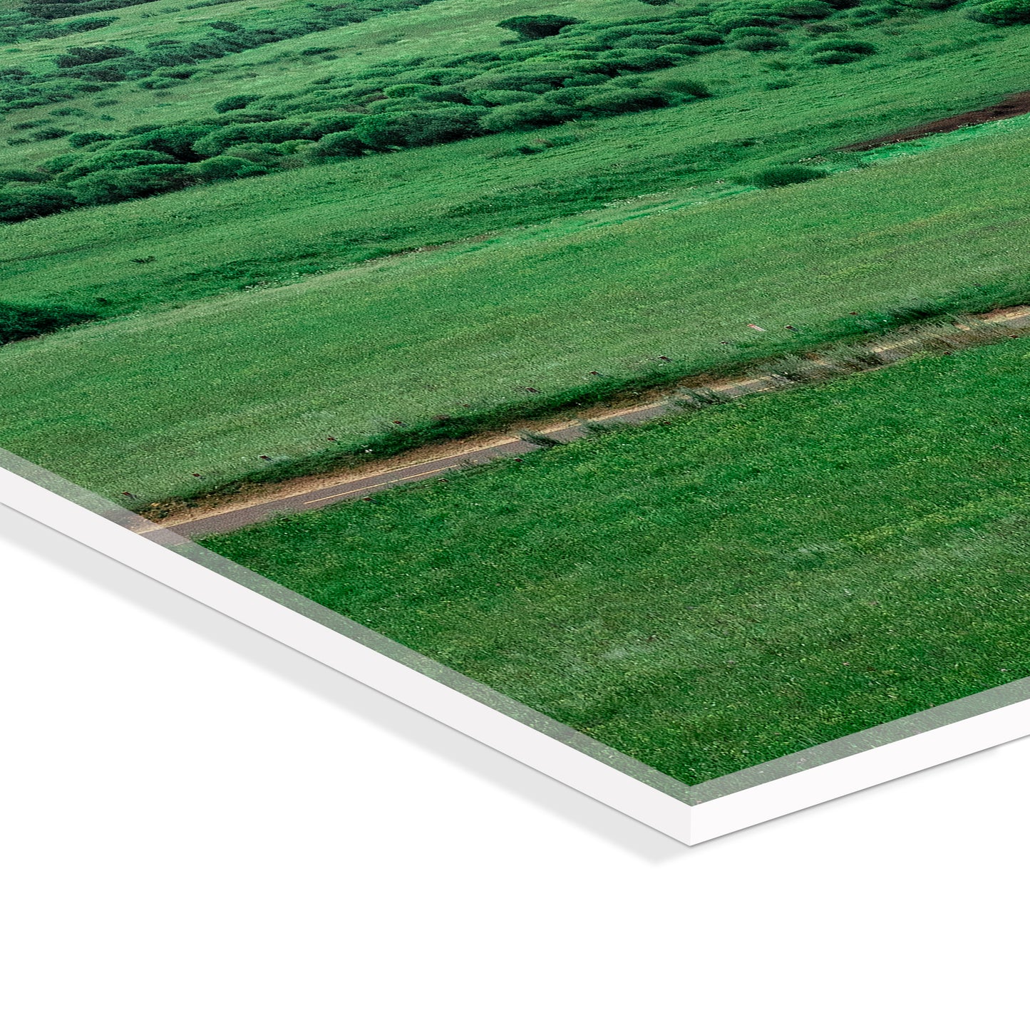 "nature"Frameless Acrylic Print