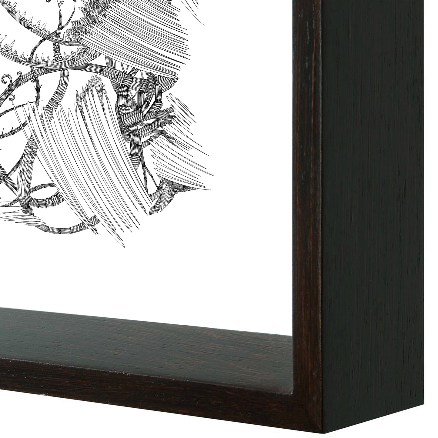 "Forest series"framed prints