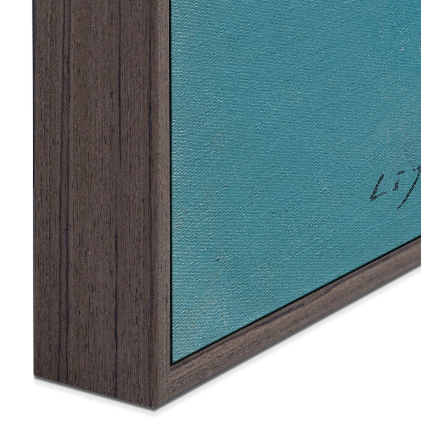 "single-wing" canvas prints