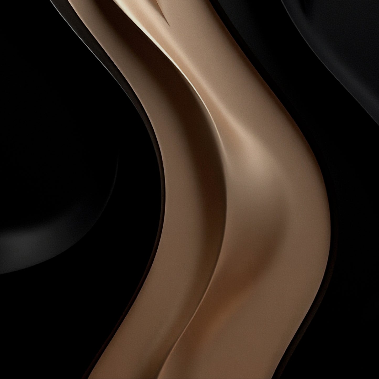 Black and brown wall sculpture, 3D wooden wall art, simple wall decoration.