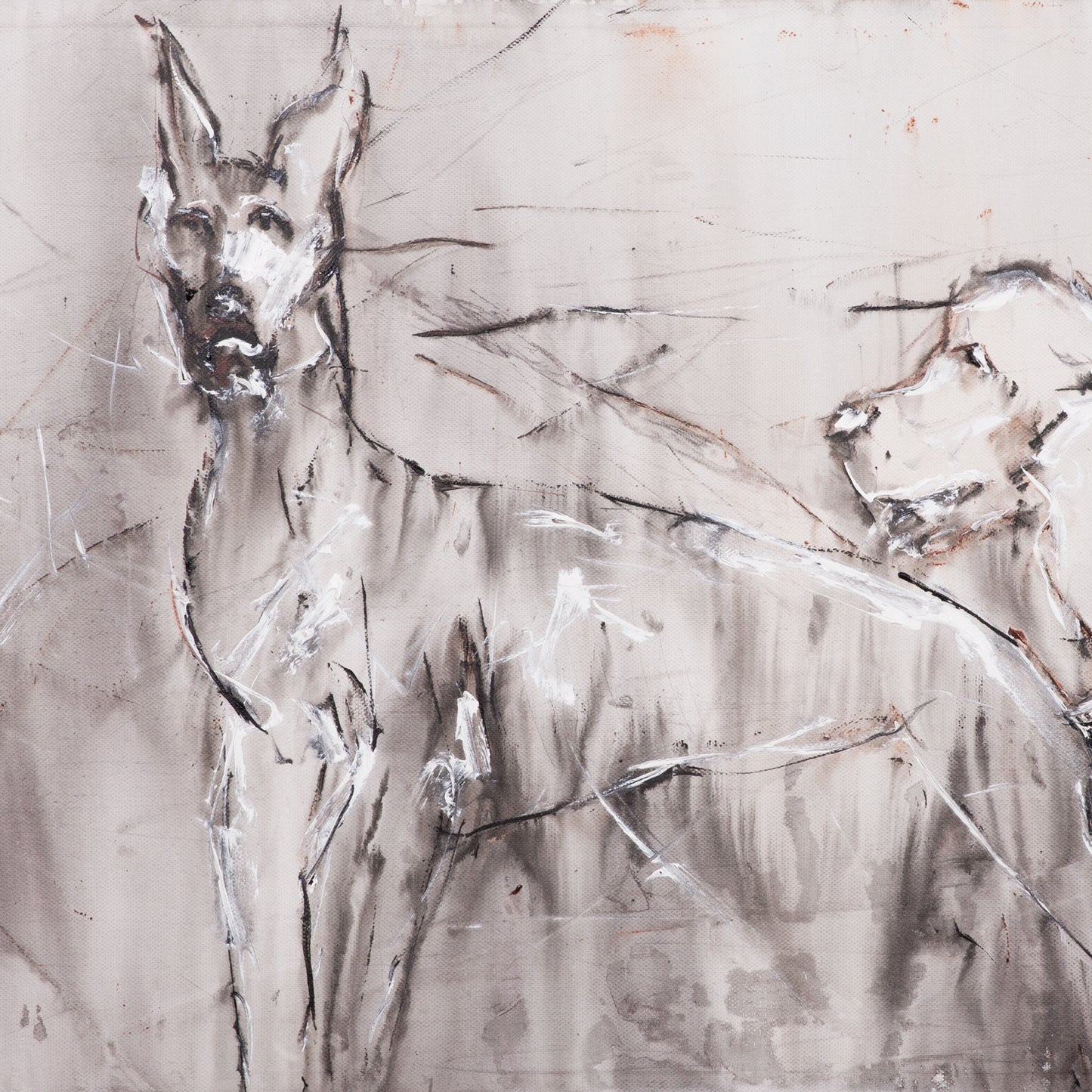 Animal wall decoration painting