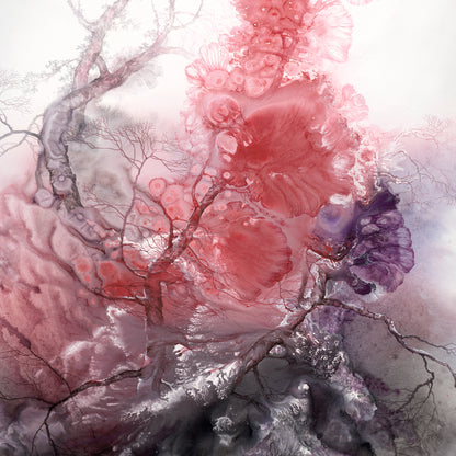 "Raging series1"hand-stretched canvas framed prints