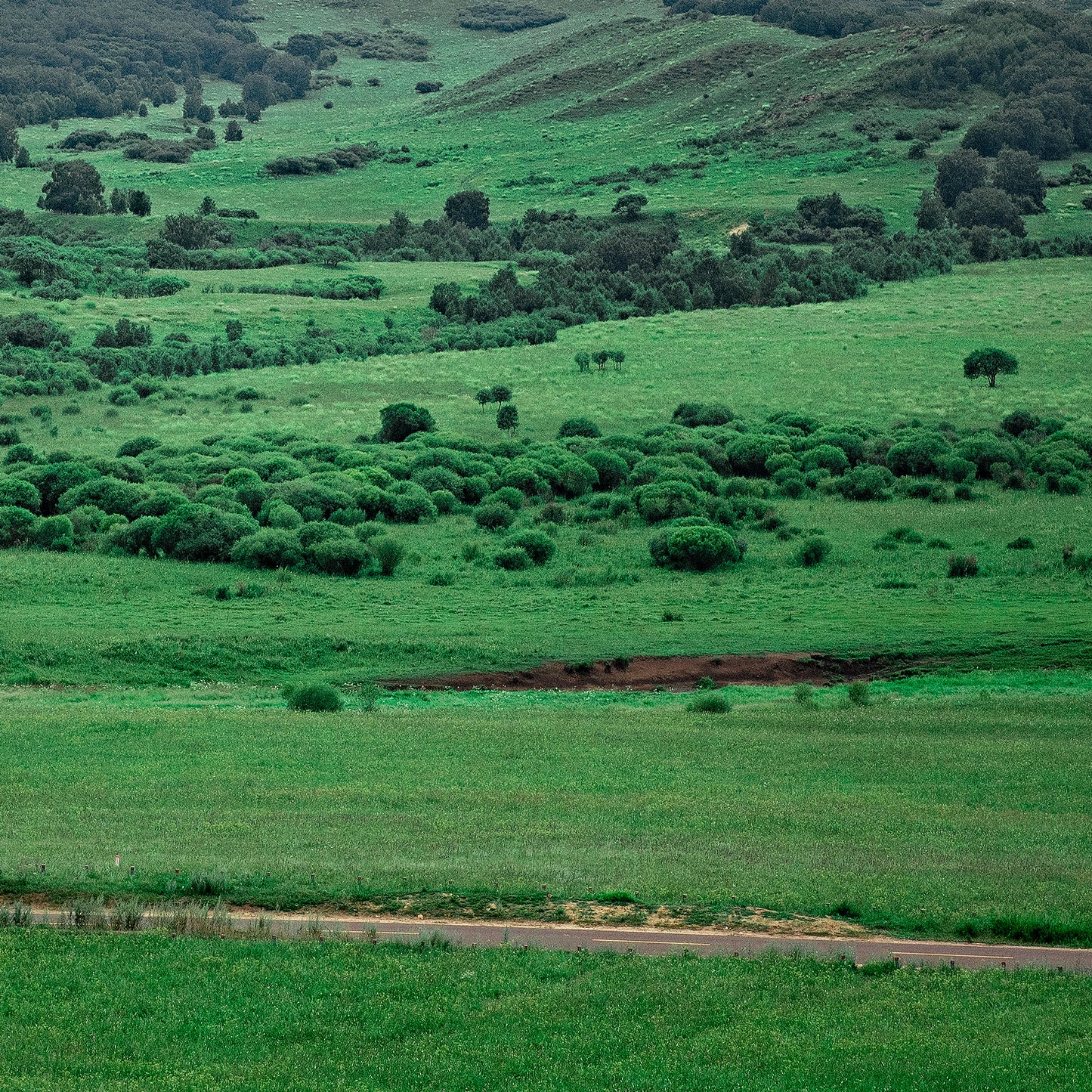 "nature"Frameless Acrylic Print