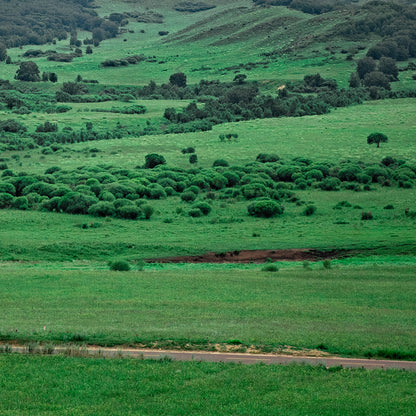 "nature"Frameless Acrylic Print