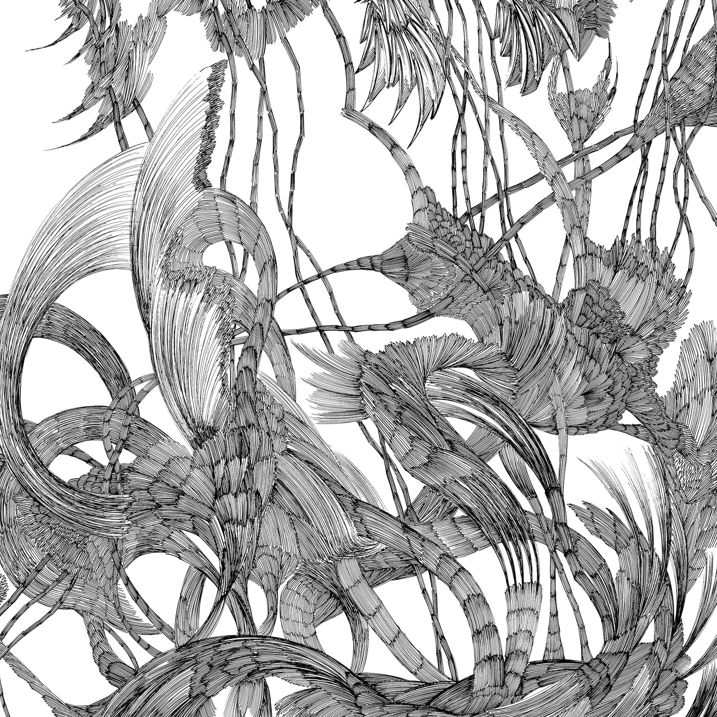 "Forest series"framed prints