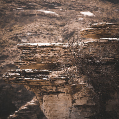 "nature"Frameless Acrylic Print