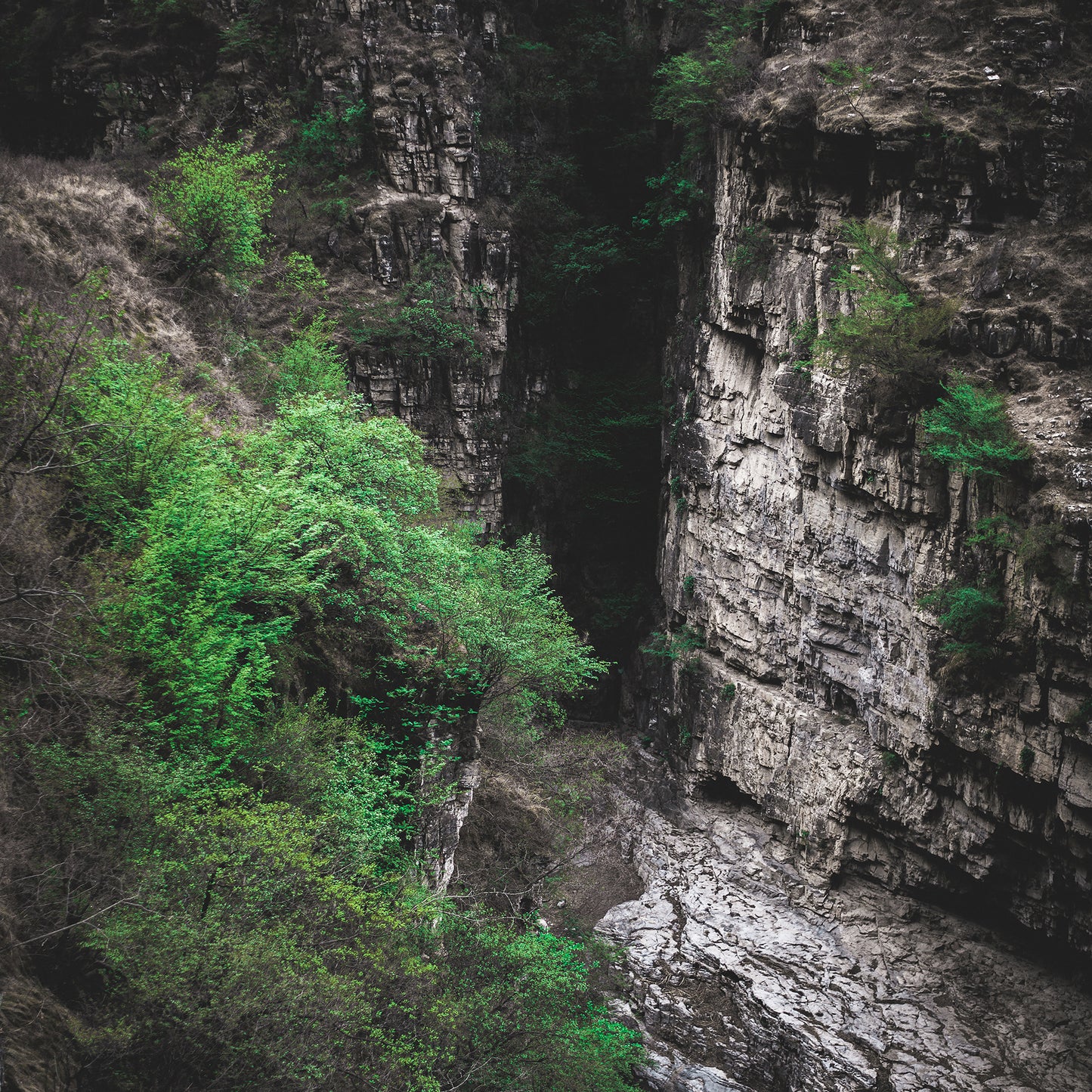 "landscape"Frameless Acrylic Print