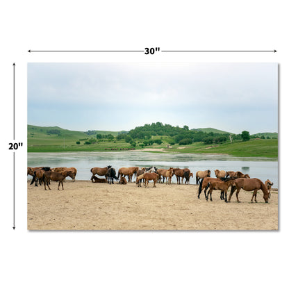 "landscape"Frameless Acrylic Print