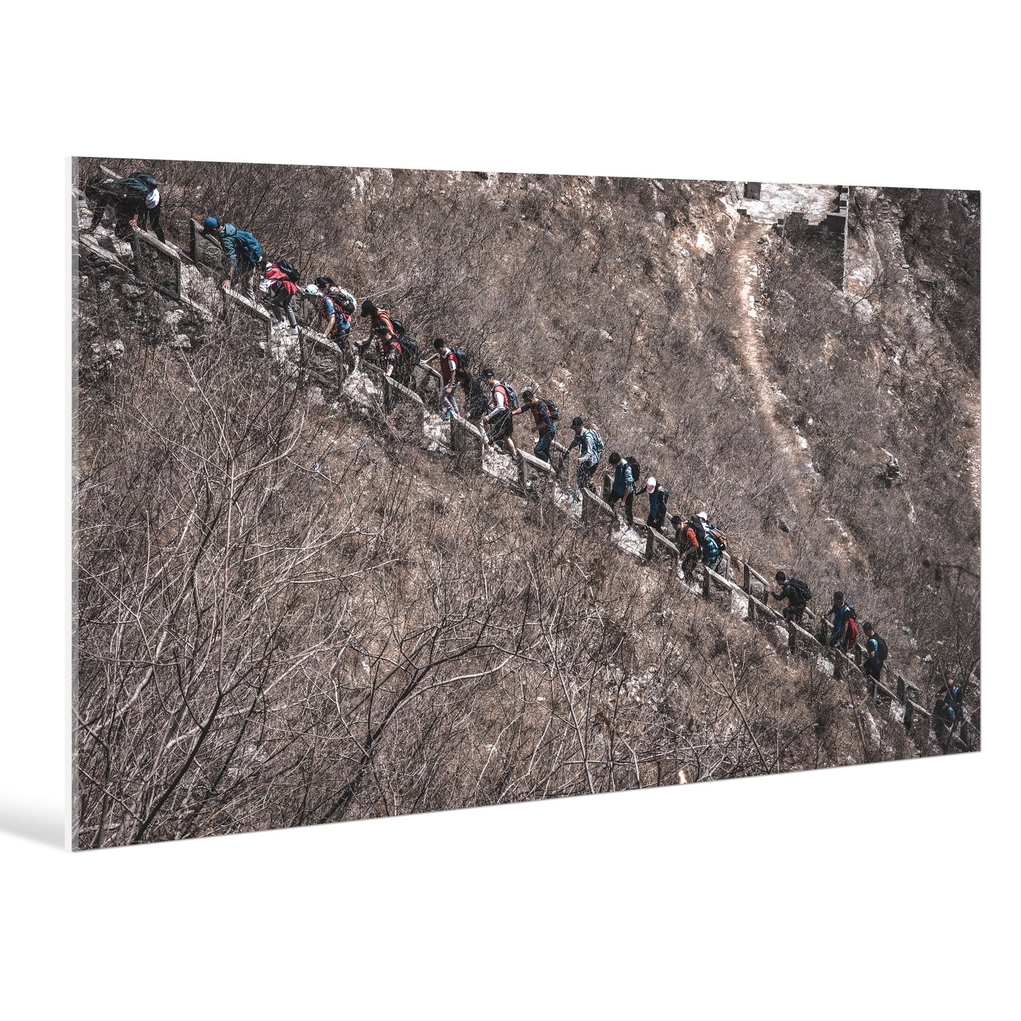 "nature"Frameless Acrylic Print