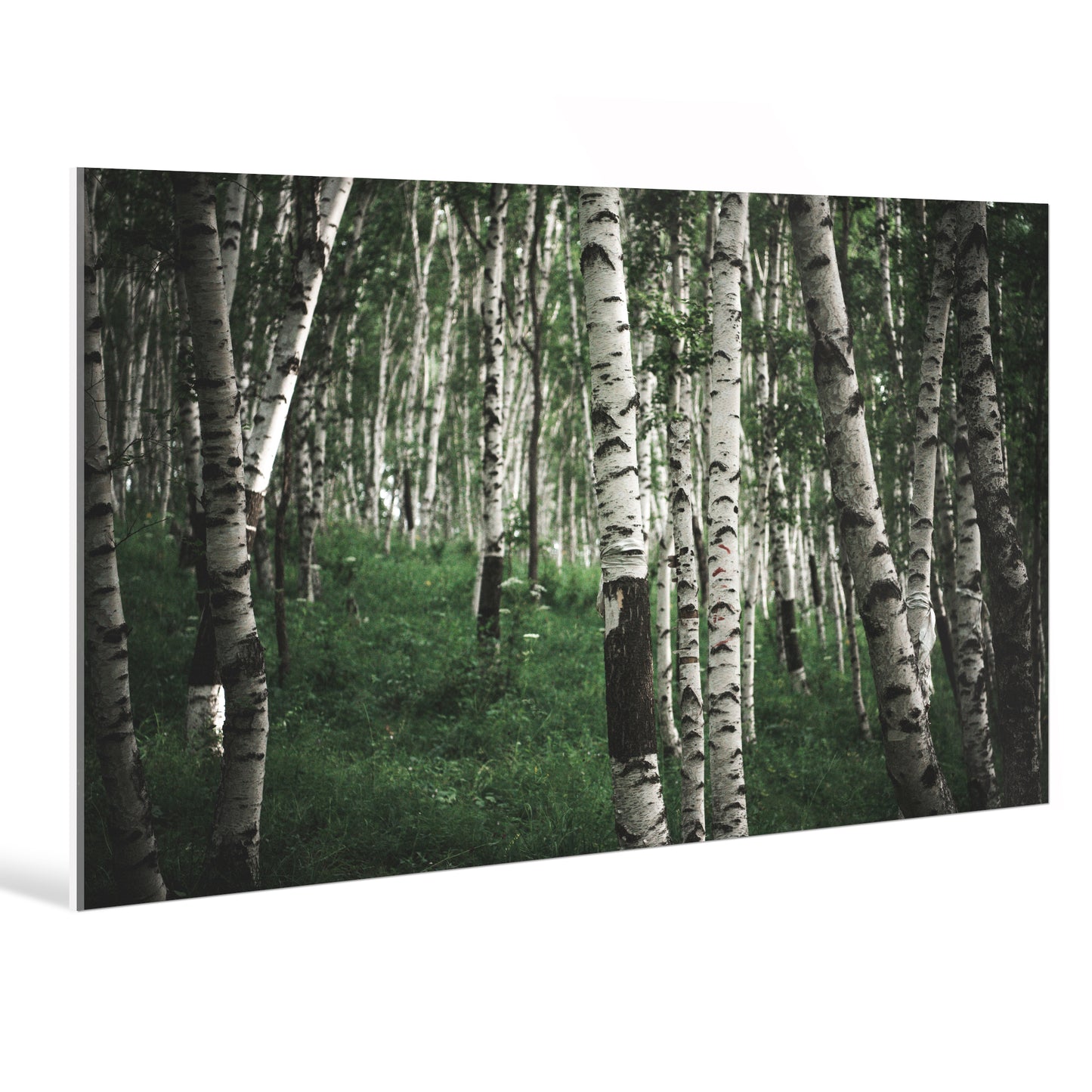 "nature"Frameless Acrylic Print