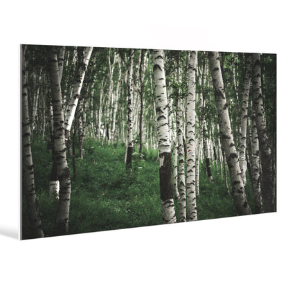 "nature"Frameless Acrylic Print