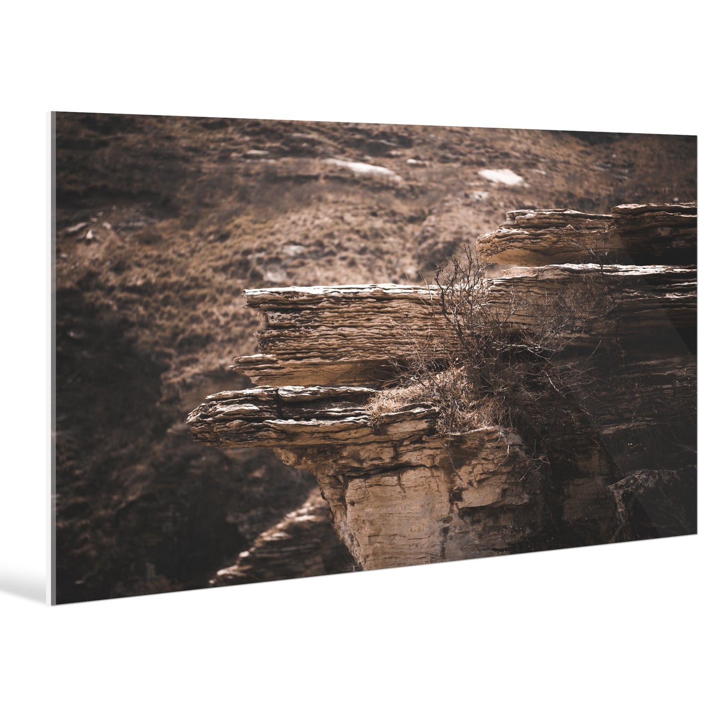 "nature"Frameless Acrylic Print