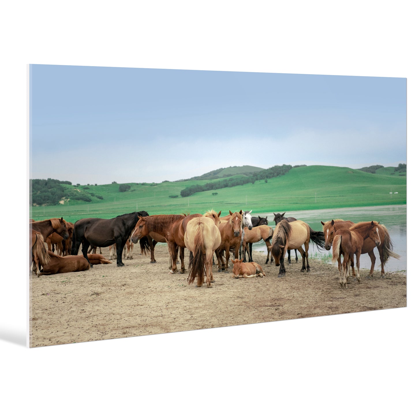 "landscape"Frameless Acrylic Print