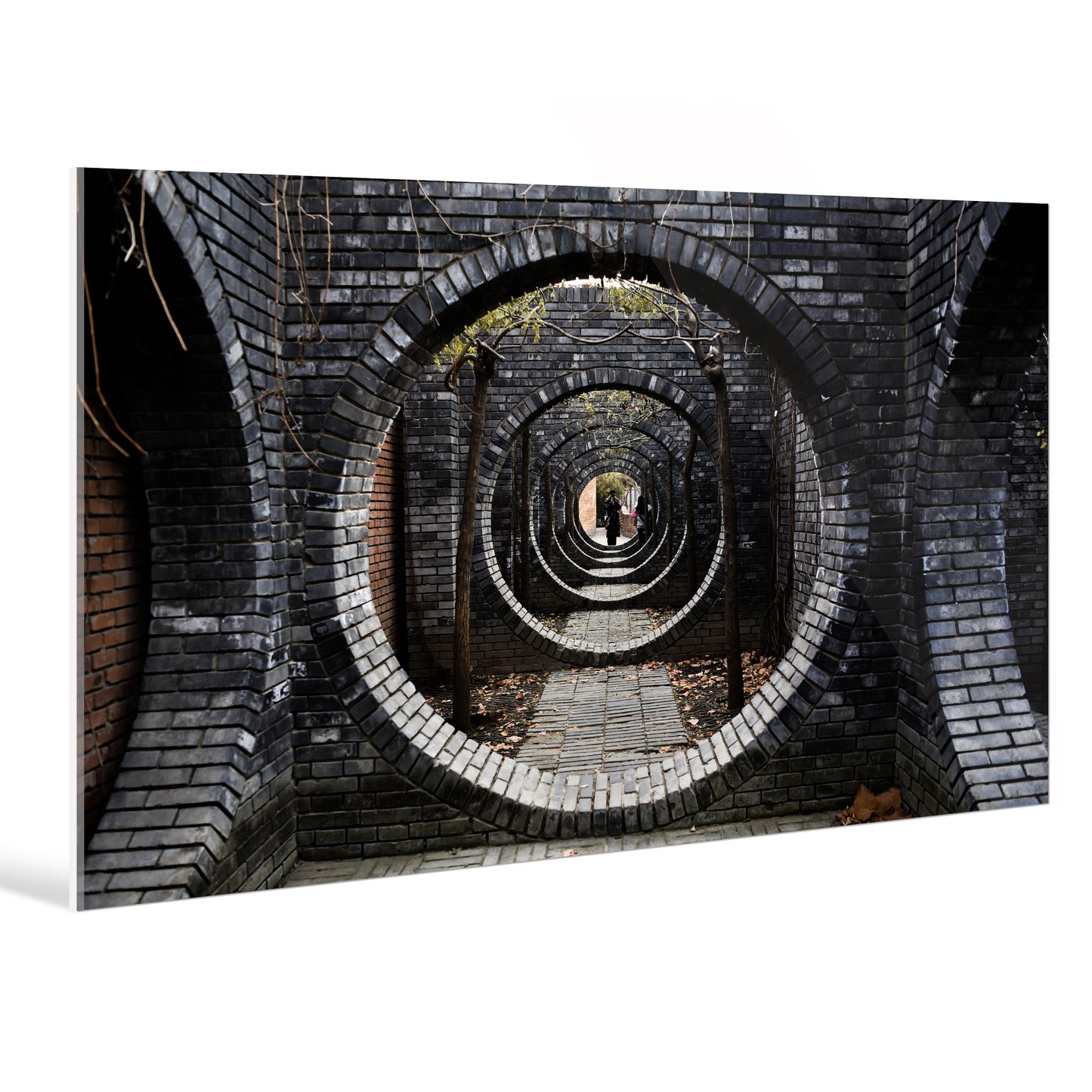 "black white"Frameless Acrylic Print