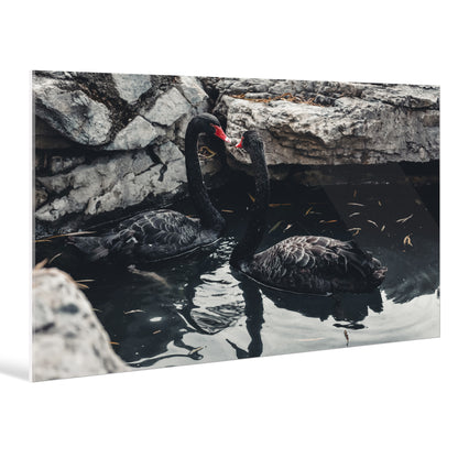 "nature"Frameless Acrylic Print