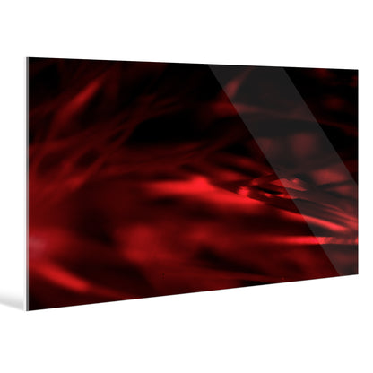 "Red Romance"Frameless Acrylic Print