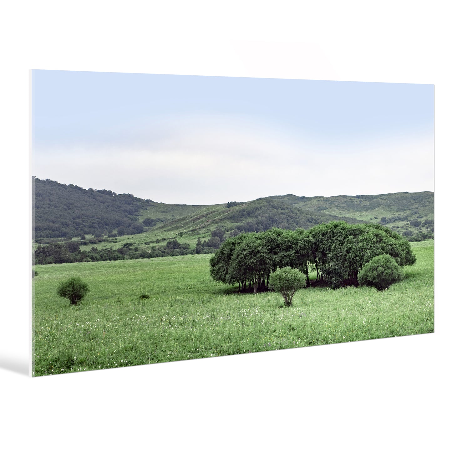 "nature"Frameless Acrylic Print