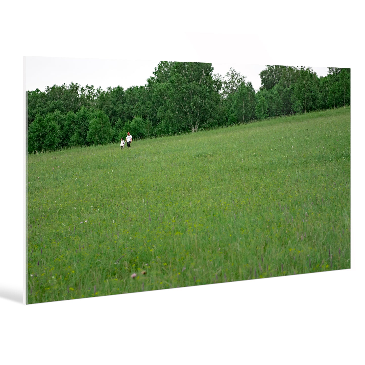 "nature"Frameless Acrylic Print