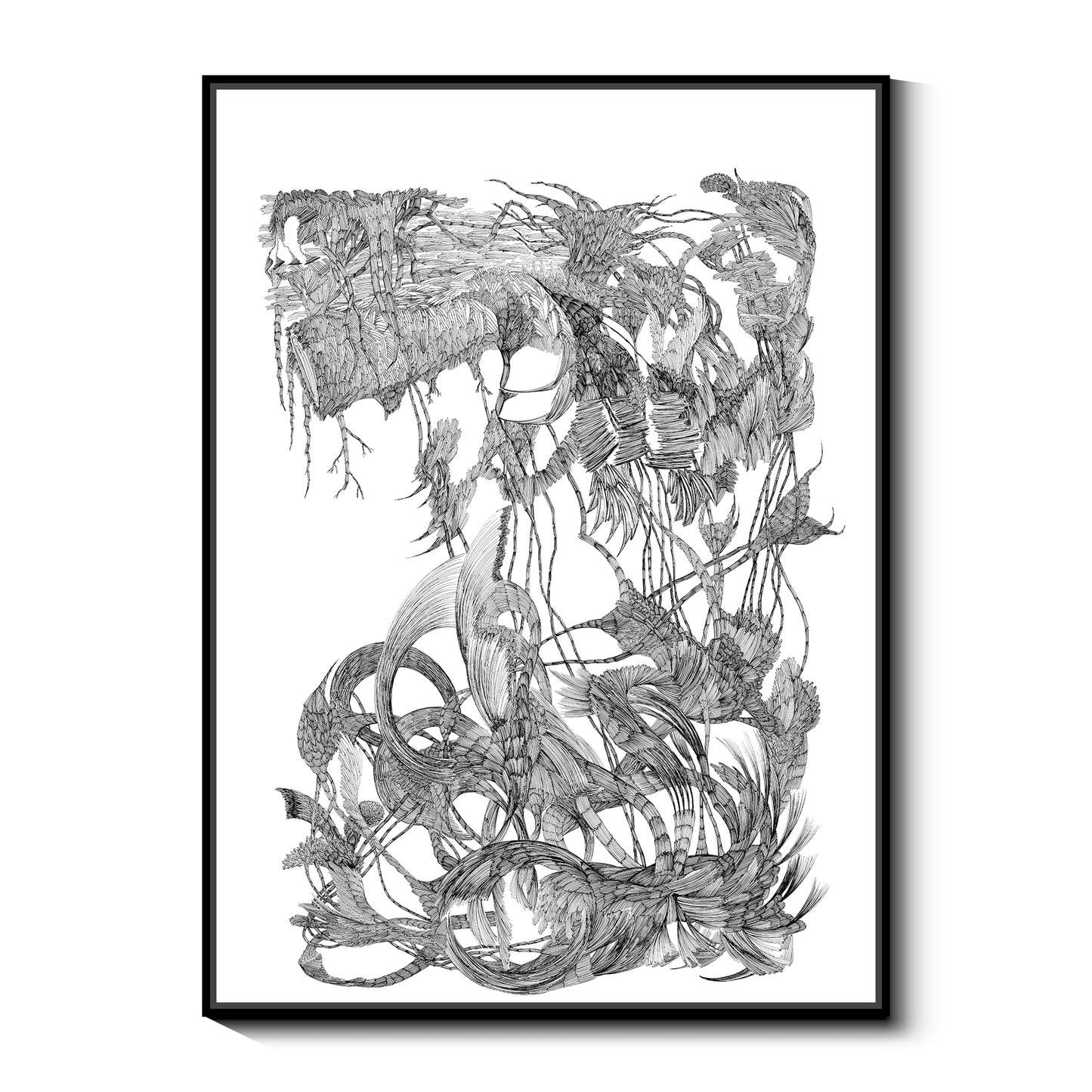 "Forest series"framed prints