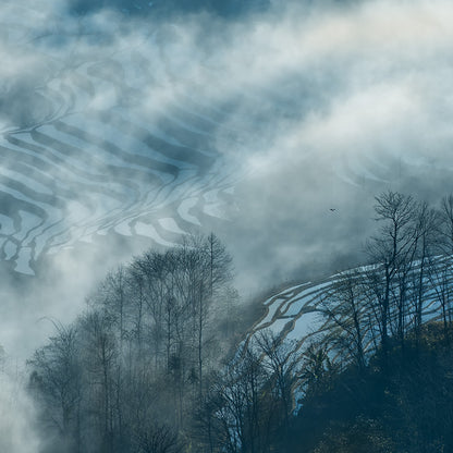 Surrounded By Fog-Shu Zhang