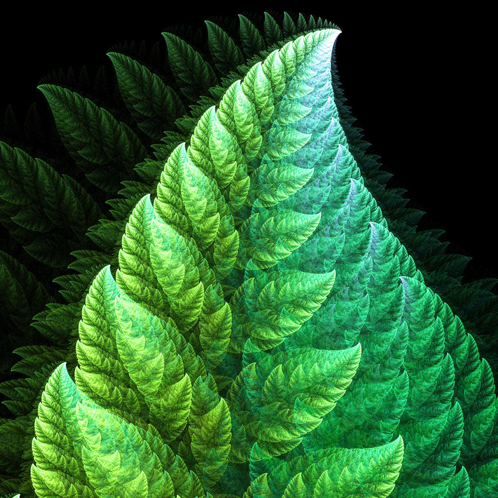 Fractal Leaf-Hongbo Zhao