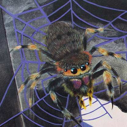 Tarantula-Yebo Cao