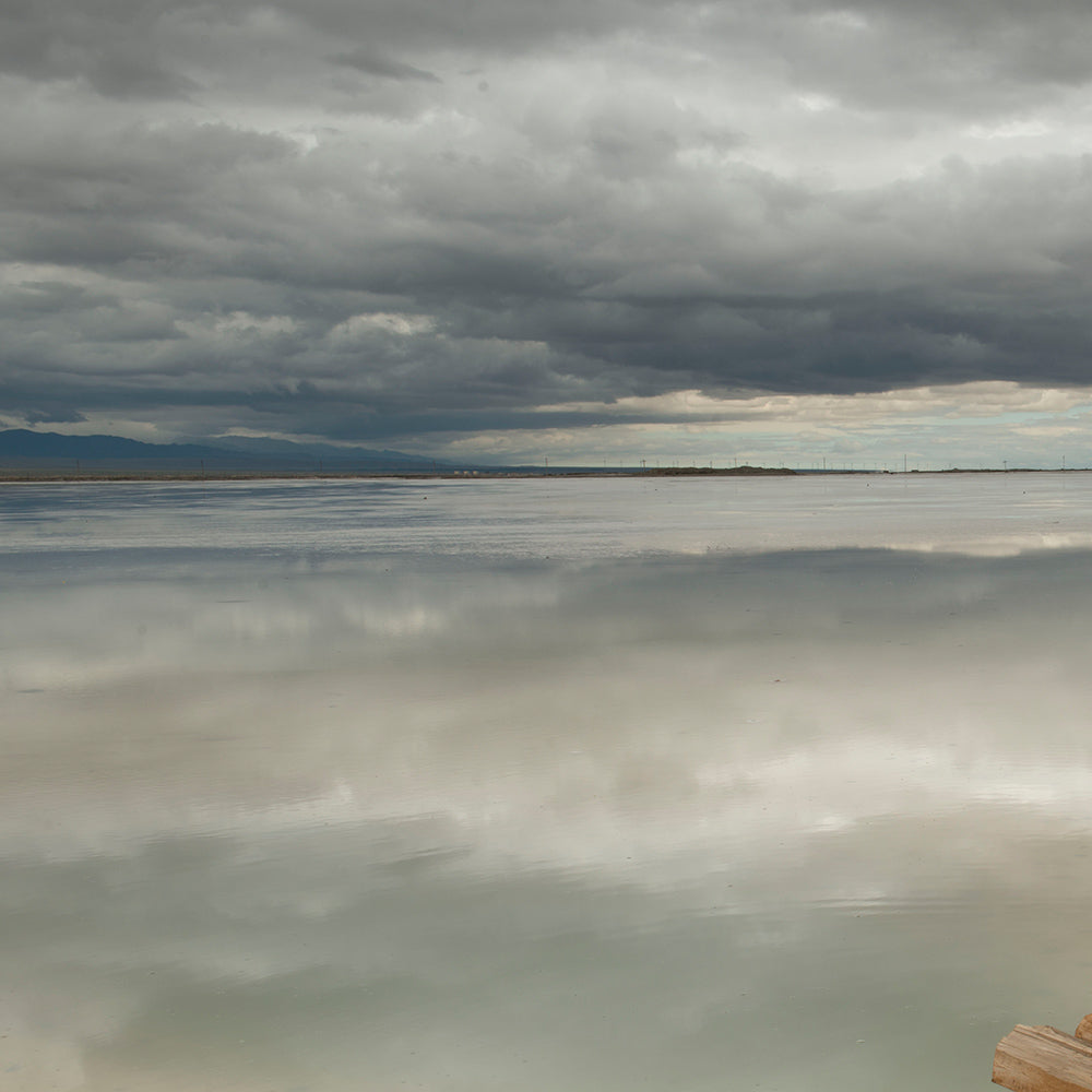 The Blue Sea Reflects the Blue Sky-Shu Zhang