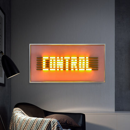 "CONTROL" Lighting Installation Art