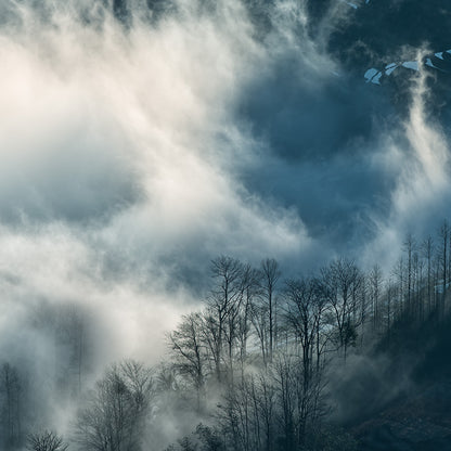 Foggy Mountains-Shu Zhang