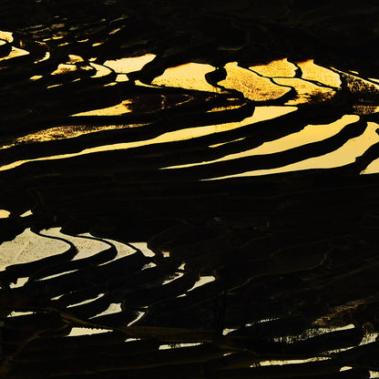 Terraced Fields (2)-Shu Zhang