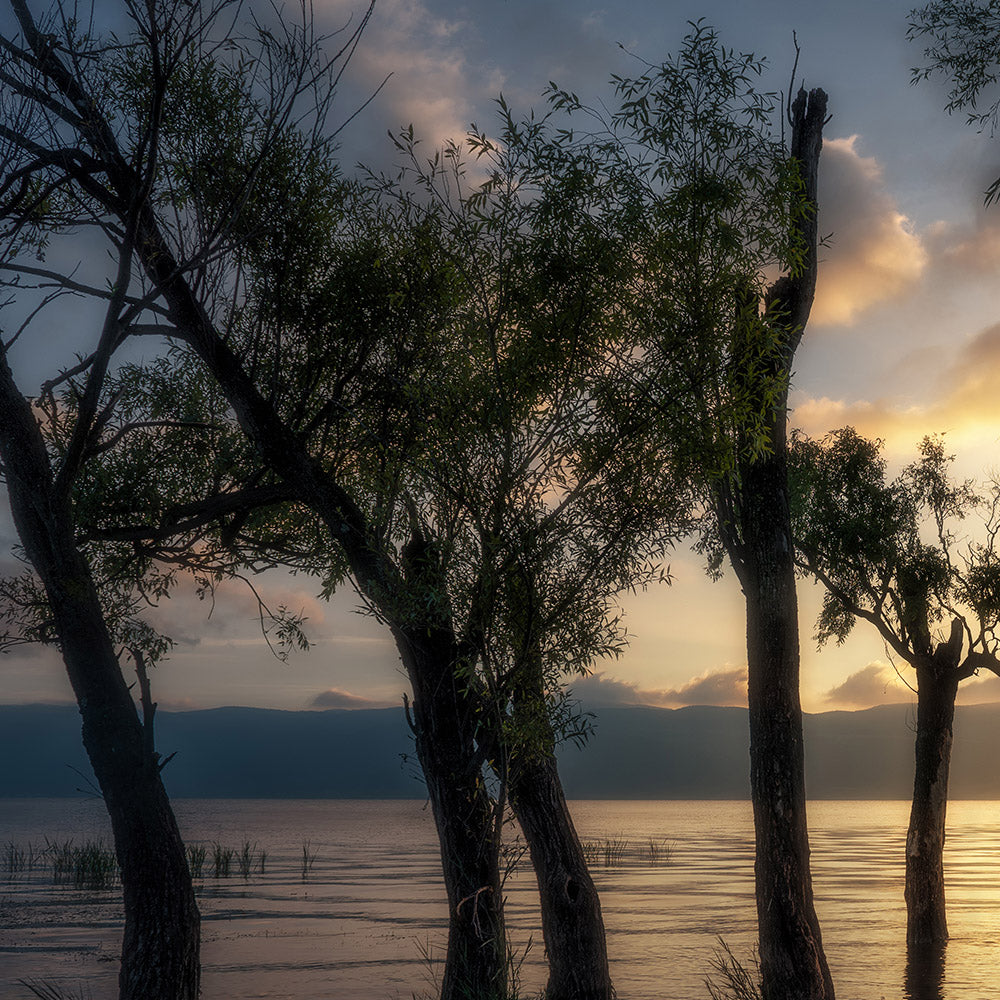 Sunset Landscape(3)-Wuchao Du