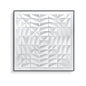 Spider Web Acrylic Installation Art