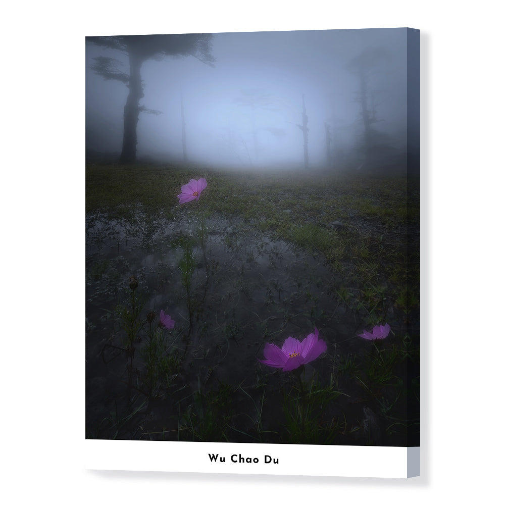 Flowers in Fog-Wuchao Du