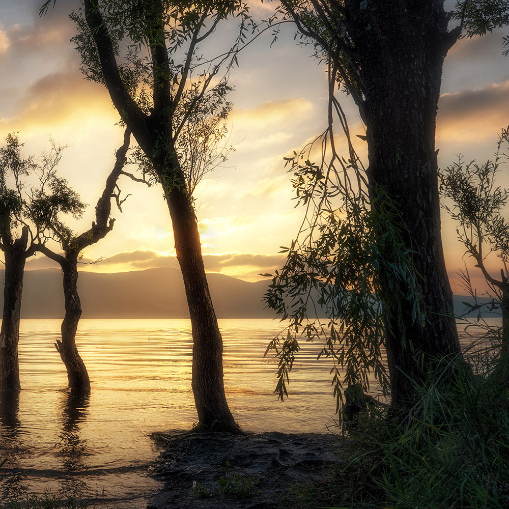 Sunset Landscape(3)-Wuchao Du