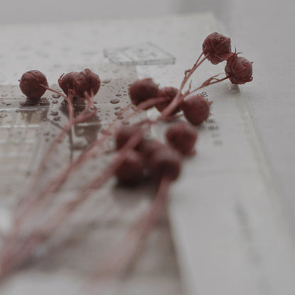 Flowers on Books-Yiwei Huang