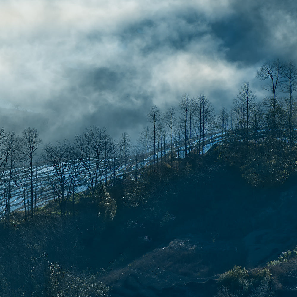 Surrounded By Fog-Shu Zhang