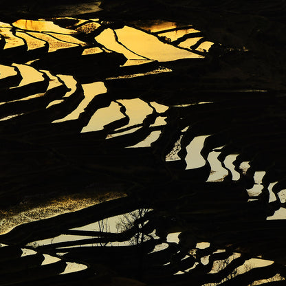 Terraced Fields (2)-Shu Zhang