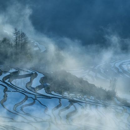 Terraced Fields Surrounded By Mist-Shu Zhang