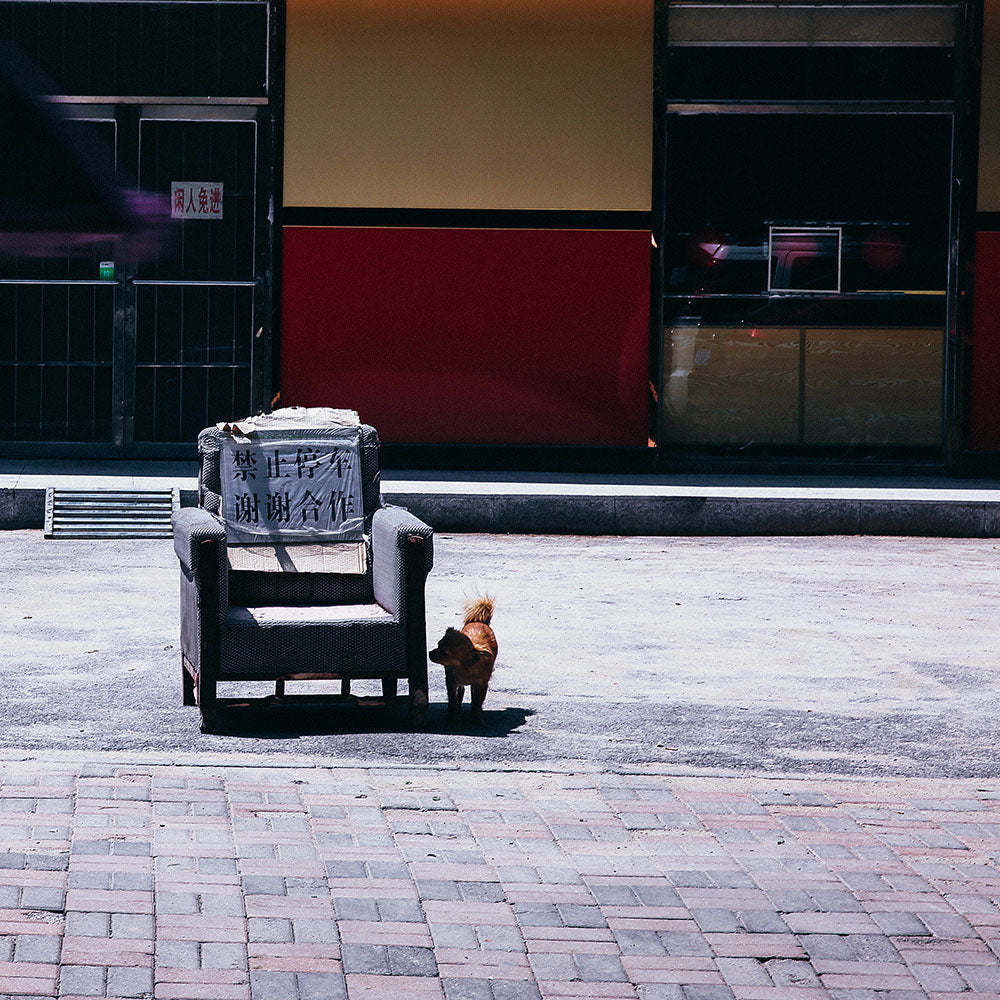 Lonely Sofa-Yiwei Huang