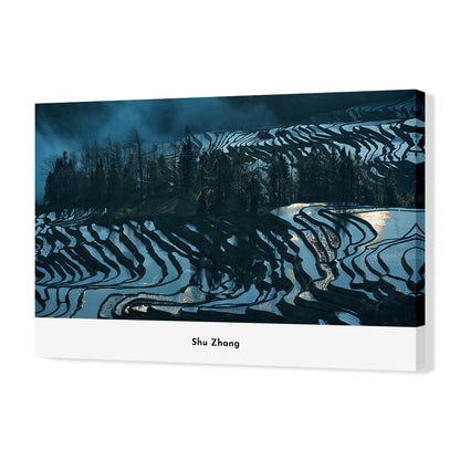 Terraced Fields in the Morning-Shu Zhang